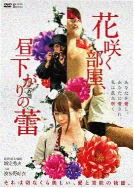 疯狂动物城二电影 尼克狐